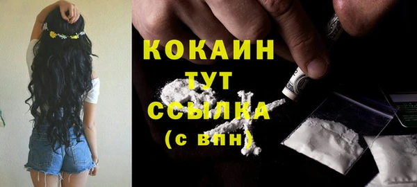 прущий лед Алексин